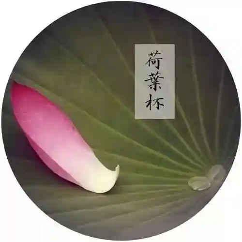 原神纳兰阵容搭配攻略(神法阵容)插图7