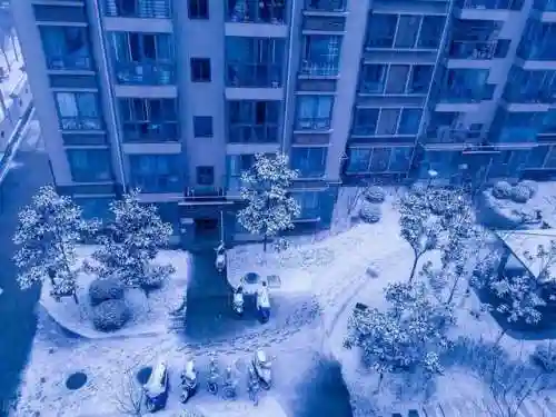 山水澄辉阵容怎么搭配(山海镜花t0阵容)插图15 山水澄辉阵容怎么搭配(山海镜花t0阵容)插图15
