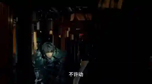 赛雷布洛星人(赛雷布洛附身结花)插图3