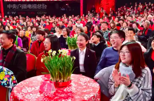 语言节目阵容搭配图文解释(语言类节目有哪些表演形式)