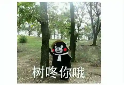 很多小游戏(小游戏app有哪些)插图38