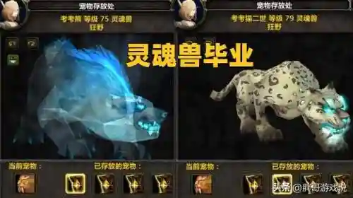 魔兽世界阿克图瑞斯(阿克图瑞斯太难抓了)插图1