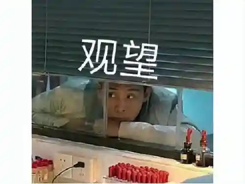 仙境传说手机单机版(ro单机版下载)插图8
