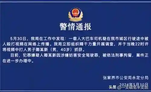 巴士驾驶员中文版(广州巴士模拟器)插图6