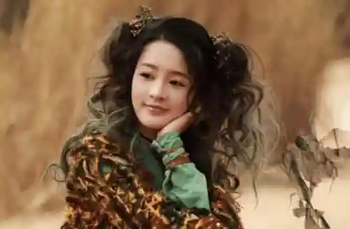 斗破阵容搭配推荐女生(穿越成为斗破男变女)插图3