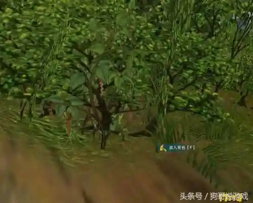 剑三甘草搭配阵容图鉴(甘草最佳搭配)插图15