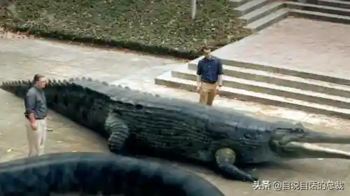 远古巨兽大复活(上古神兽饕餮电影免费)插图60 远古巨兽大复活(上古神兽饕餮电影免费)插图60