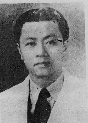 民国之崛起东南亚(二战南洋起家的小说)插图3