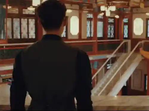 陈皮和谁生的陈文锦(丫头什么时候生的陈文锦)插图4