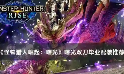 曙光双刀怎么搭配阵容最好(武锋阵最强阵容搭配)