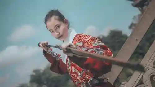 金鳞龙熊阵容搭配(忠义骑飞熊军最强阵容搭配)