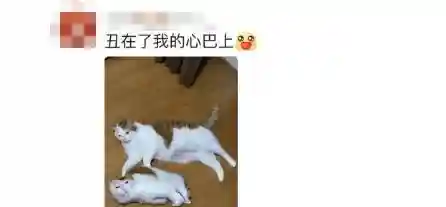 突然的自我歌词(把悲伤留给自己歌词)插图5