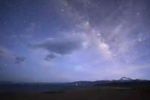 福星牛马阵容怎么搭配好(马超配什么阵容)