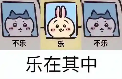 2020最火表情包动图(gif表情包下载软件)