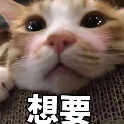 奥奇传说墓地阵容搭配(奥奇传说最强boss阵型)插图9