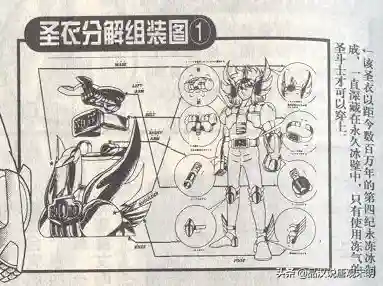 洛克王国华贵天鹅超进化(洛克王国巨翎天鹅亲密度)插图9