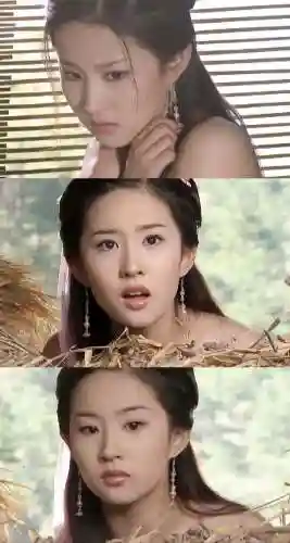 李青萝王语嫣李秋水三代同(王夫人李青萝)插图5 李青萝王语嫣李秋水三代同(王夫人李青萝)插图5