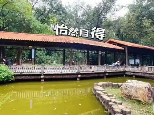 天选森林大树阵容搭配(大树头森林餐厅)插图5