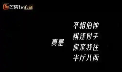 乘风破浪的姐姐第四季(浪姐4季成员名单)插图7