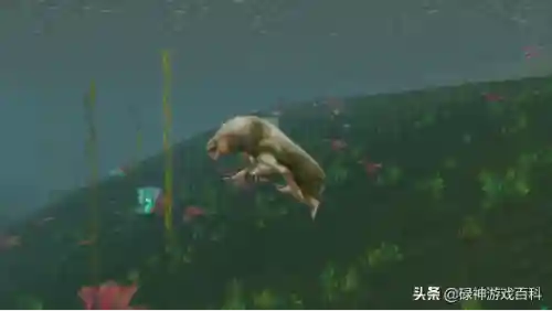 海狮试炼居民在哪(部落德鲁伊海狮试炼坐标)插图3
