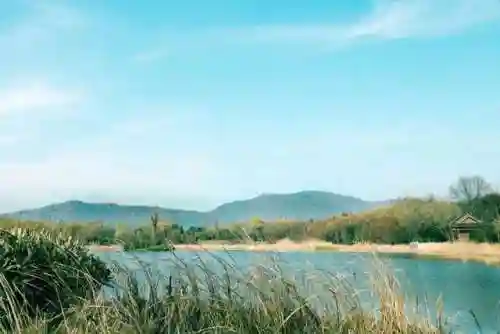 激励人上进的古诗词(寓意美好积极向上的古诗词)插图5