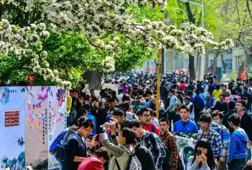 海棠文化线上文学城入口2023(海棠书屋入口myhtlmebookmyhtl下载)插图5