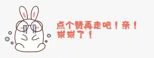 驯龙法师搭配什么阵容(小小驯龙师阵容推荐)插图15