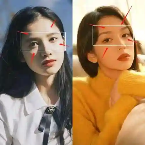 大花小花阵容搭配图(新版本最强阵容)插图2 大花小花阵容搭配图(新版本最强阵容)插图2