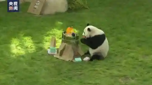 吉祥物打工阵容搭配(恭喜发财什么阵容厉害)插图34
