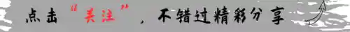 南非大炮速攻搭配什么阵容(沙暴队最强阵容搭配)