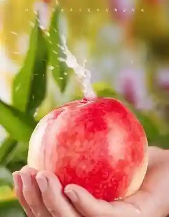 水蜜桃图片大全唯美壁纸(桃子壁纸软件下载)插图1