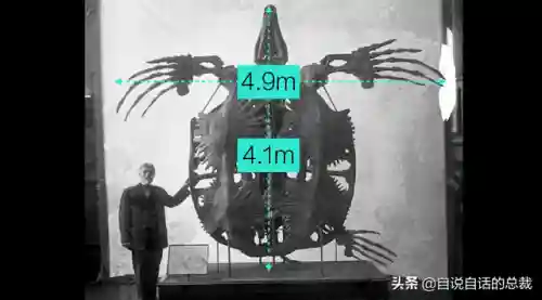 远古巨兽大复活(上古神兽饕餮电影免费)插图2 远古巨兽大复活(上古神兽饕餮电影免费)插图2