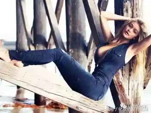 诺亚方舟阵容搭配图(诺亚方舟游戏手机版中文版)插图9