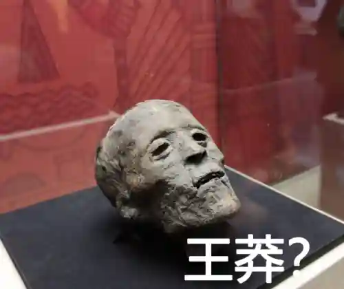 王莽臣子阵容装备搭配图(三国时代2武将装备搭配)插图7