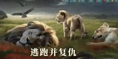 苹果最热门游戏排行榜(iphone游戏排行)插图6