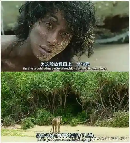少年派的奇幻漂流(少年派隐喻深度解析)插图32