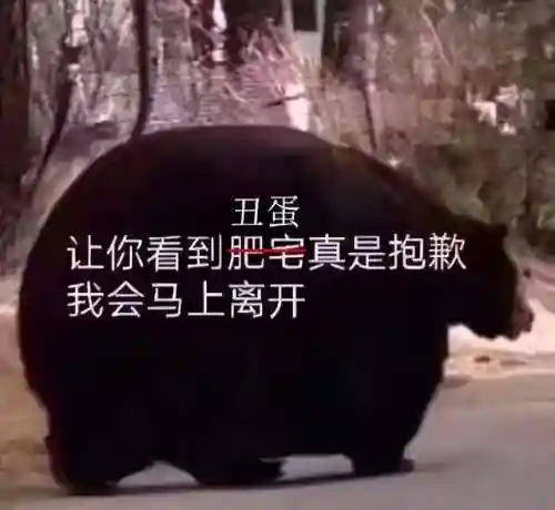 蛋仔所有阵容搭配图(轮转纽带模式阵容)插图2