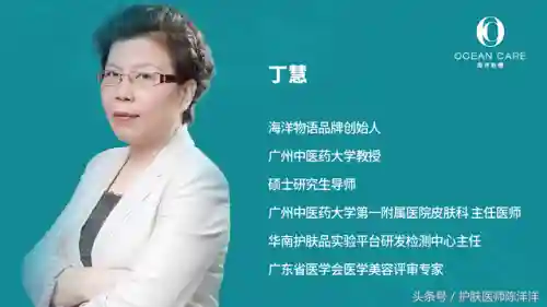 海洋物语搭配阵容图片大全(海洋王国最强阵容搭配)插图3