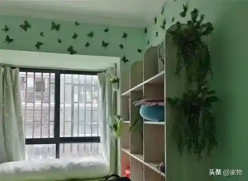 花园宝宝阵容搭配图片高清(花园宝宝的所有人物)插图5