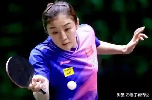 龙队后期搭配什么阵容(口袋重制龙队阵容)插图2