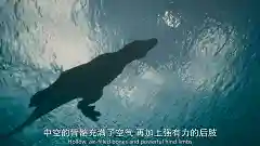 史前星球阵容搭配图表最新(走开外星人最强阵容)插图19
