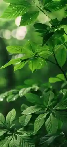 屏保图片手机壁纸2022高清动态(手机屏保壁纸)插图16