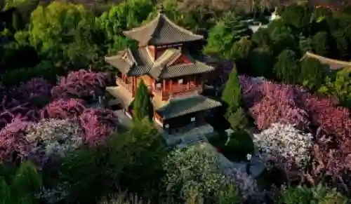 西安必去的10个景点(西安旅游必去景点介绍)插图8