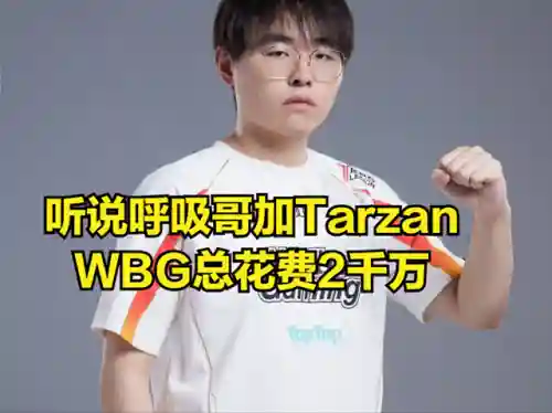 上单小虎阵容搭配最新(老虎适合什么阵容)