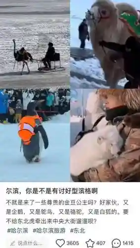 炉石月亮卫士阵容搭配(炉石传说战士最新卡组)插图3