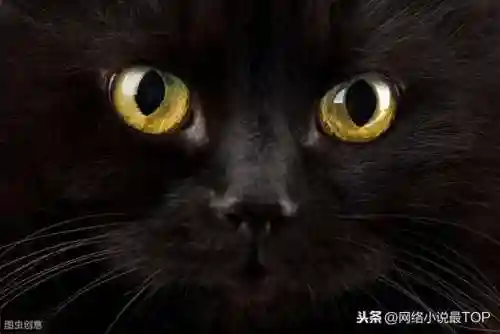 玄幻小说的分类(全本免费完结玄幻小说)插图7 玄幻小说的分类(全本免费完结玄幻小说)插图7