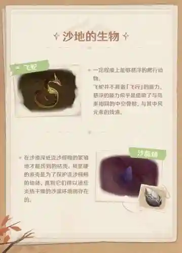 原神沙地阵容搭配攻略(原神十大平民最强阵容)插图4