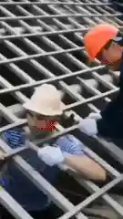 金钟罩下棋阵容搭配(象棋开局布阵法)插图11