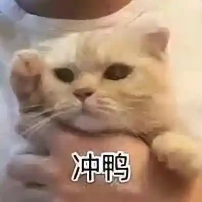 奥奇传说墓地阵容搭配(奥奇传说最强boss阵型)插图19