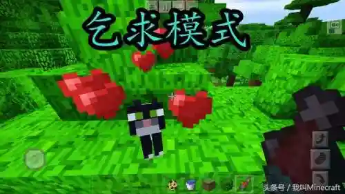 我的世界豹猫怎么驯服(豹猫冒爱心但是驯服不了)插图4